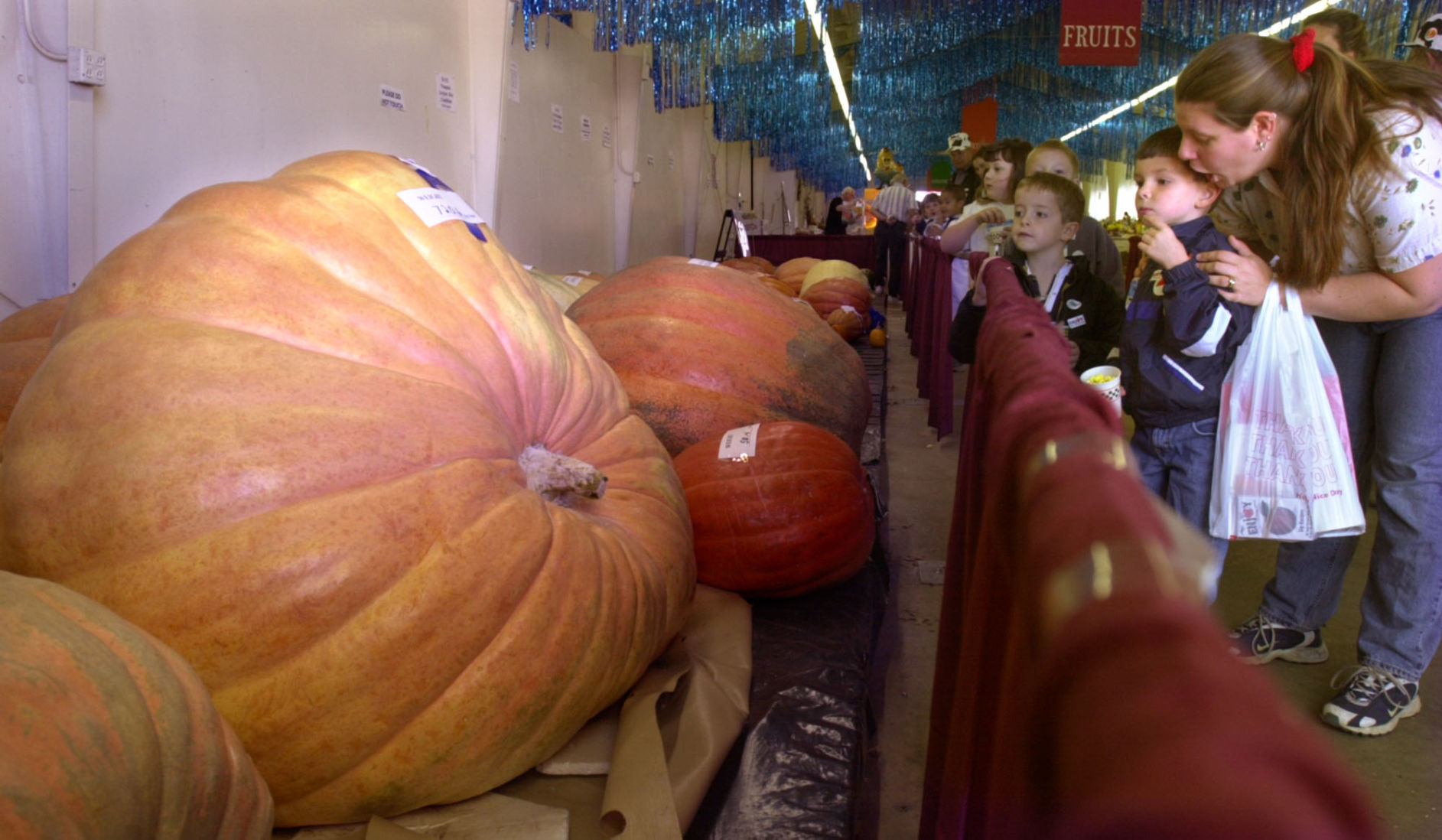 Giant Pumpkin